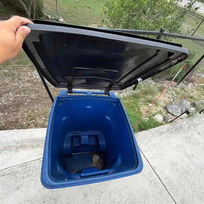 Perez Pro Clean lifting the lid of a trash bin during the cleaning process
